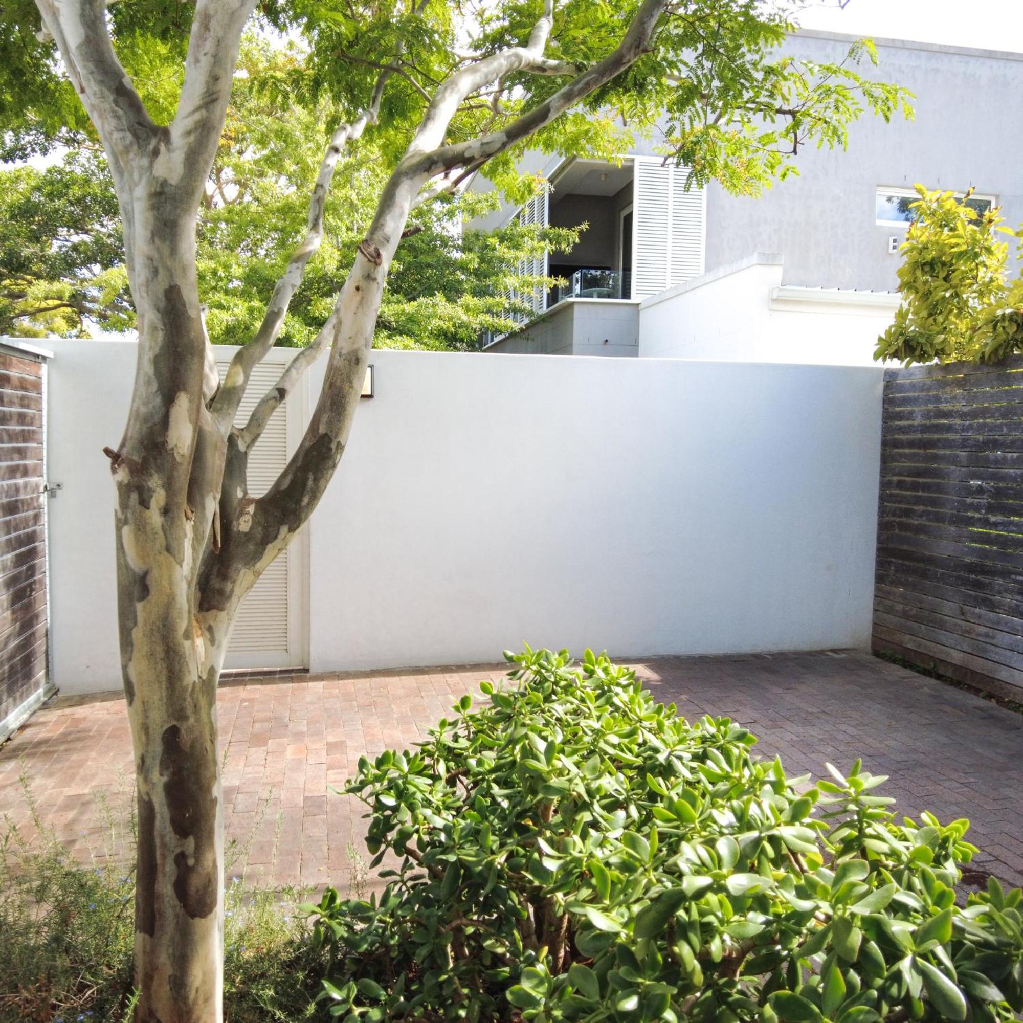 Laanhof Studios Stellenbosch Exteriör bild